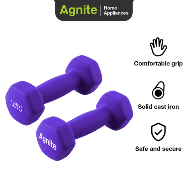 Dipped Dumbbell #1KG #PURPLE